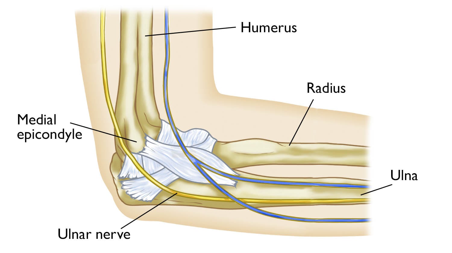 Chris Treat Tulsa Elbow Surgeon illustration showing the ulnar nerve